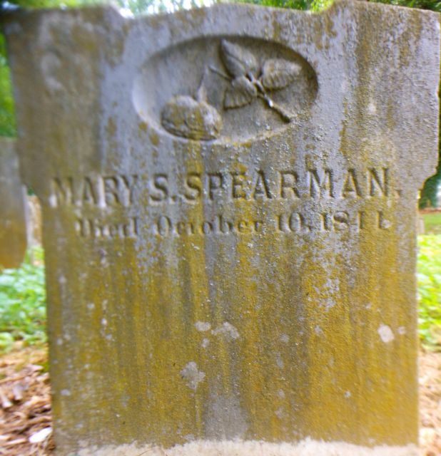 Mary S Spearman