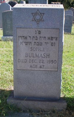 Sophie Bulmash