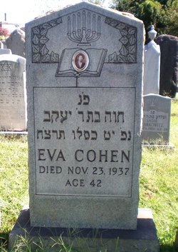 Eva Cohen