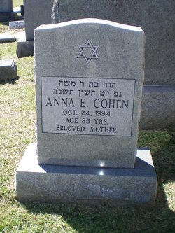 Anna E Cohen