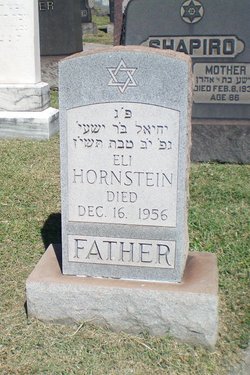 Eli Hornstein