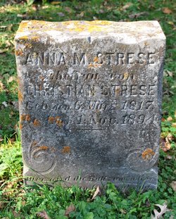  Anna M Strese