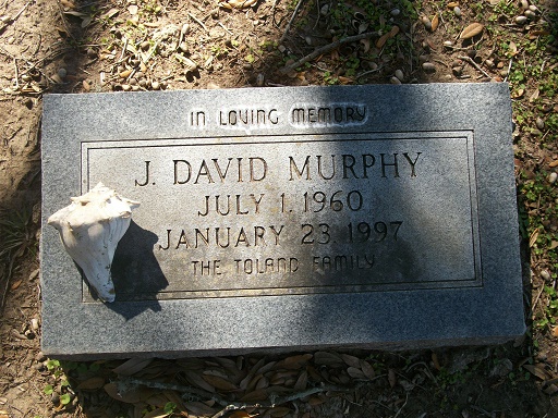 J David Murphy